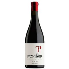 pazo tizon extramundi tinto 2017 vino ribeiro