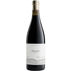 pegaso granito vino tinto castilla leon cebreros telmo rodriguez