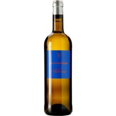 castilla leon rueda bodega belondrade vino blanco quinta apolonia