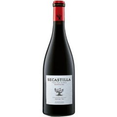 secastilla garnacha vino tinto barrica bodegas viñas del vero somontano aragon españa