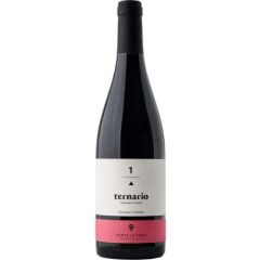 castilla la mancha almansa bodegas venta la vega mgwines vino tinto ternario 1