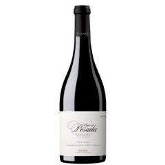 españa castilla leon bierzo bodegas estefania vino tinto tilenus pagos de posada