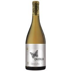 españa la rioja bodegas vallobera vino blanco caudalia de vallobera