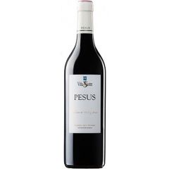 españa castilla leon ribera duero bodega hermanos sastre vino tinto pesus