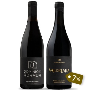Dominio de Adrada: La esencia pura de los viñedos viejos de Ribera del Duero