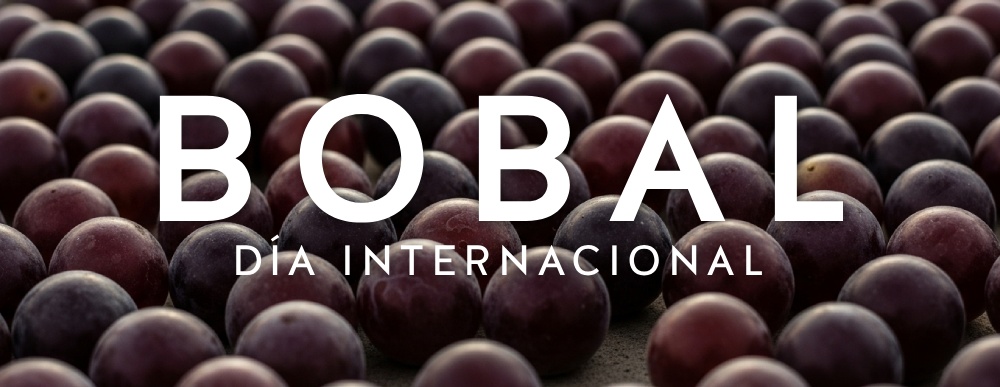 Bobal | La Reina oscura del Mediterráneo y su renacimiento global