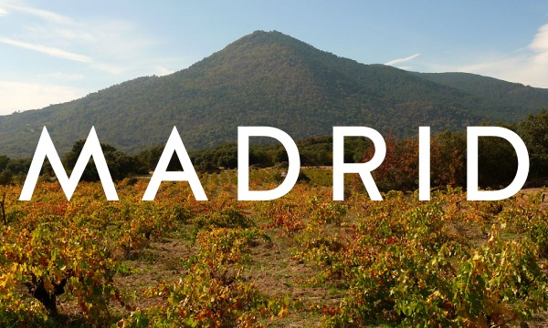 MADRID es Mayo | Celébralo con sus extraordinarios vinos